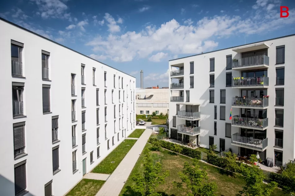 Am Donauufer - im Zentrum der Doppelstadt
